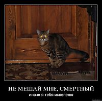 НЕ МЕШАЙ МНЕ, СМЕРТНЫЙ иначе я тебя испепелю