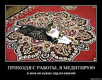ПРИХОДЯ С РАБОТЫ, Я МЕДИТИРУЮ и мне не нужен сад из камней