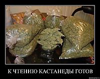 К ЧТЕНИЮ КАСТАНЕДЫ ГОТОВ 