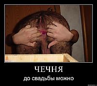 ЧЕЧНЯ до свадьбы можно