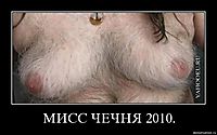МИСС ЧЕЧНЯ 2010. 
