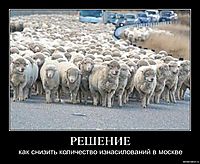 РЕШЕНИЕ как снизить количество изнасилований в москве