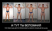 И ТУТ ТЫ ВСПОМНИЛ ЧТО ТЕБЕ ЕЩЕ ДОЛГО ПРОКАЧИВАТЬ СВОЕГО ЭЛЬФА ДО 80 Levela