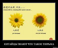 КИТАЙЦЫ ЗНАЮТ ЧТО ТАКОЕ ТЮРЬМА 