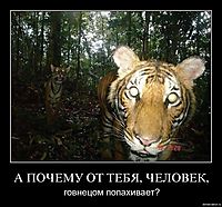А ПОЧЕМУ ОТ ТЕБЯ, ЧЕЛОВЕК, говнецом попахивает?