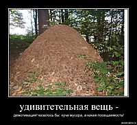 удивитетельная вещь - демотивация! казалось бы: куча мусора, а какая посещаемость!
