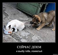 СЕЙЧАС ДОЕМ
