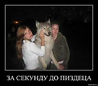 ЗА СЕКУНДУ ДО ПИЗДЕЦА 