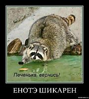 ЕНОТЭ ШИКАРЕН 