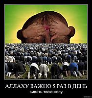 АЛЛАХУ ВАЖНО 5 РАЗ В ДЕНЬ видеть твою жопу.