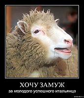 ХОЧУ ЗАМУЖ за молодого успешного итальянца