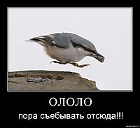ОЛОЛО пора съебывать отсюда!!!