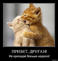 ПРИВЕТ, ДРУГАН! Не пропадай больше надолго!