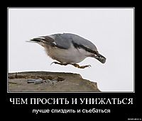 ЧЕМ ПРОСИТЬ И УНИЖАТЬСЯ лучше спиздить и съебаться