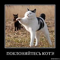 ПОКЛОНЯЙТЕСЬ КОТЭ! 