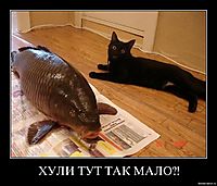 ХУЛИ ТУТ ТАК МАЛО?! 