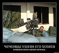 ЧЕЧЕНЦЫ УБИЛИ ЕГО ХОЗЯЕВ плюсани если жалко котенка..
