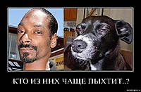 КТО ИЗ НИХ ЧАЩЕ ПЫХТИТ..? 