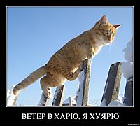 ВЕТЕР В ХАРЮ, Я ХУЯРЮ 