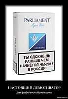НАСТОЯЩИЙ ДЕМОТИВАТОР для футбольного болельщика