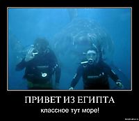 ПРИВЕТ ИЗ ЕГИПТА классное тут море!