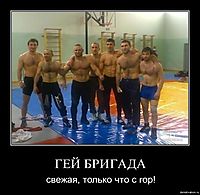 ГЕЙ БРИГАДА свежая, только что с гор!