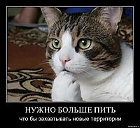 НУЖНО БОЛЬШЕ ПИТЬ что бы захватывать новые территории