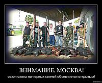 ВНИМАНИЕ, МОСКВА! сезон охоты на черных свиней объявляется открытым!