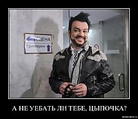 А НЕ УЕБАТЬ ЛИ ТЕБЕ, ЦЫПОЧКА? 