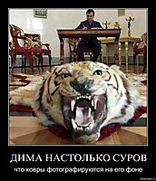 ДИМА НАСТОЛЬКО СУРОВ что ковры фотографируются на его фоне