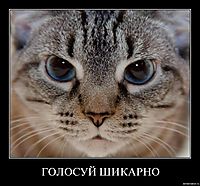 ГОЛОСУЙ ШИКАРНО
