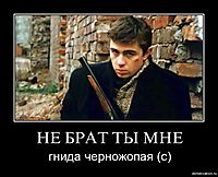 НЕ БРАТ ТЫ МНЕ гнида черножопая (с)