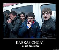 КАВКАЗ СИЛА? не, не слышал