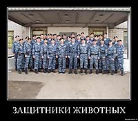 ЗАЩИТНИКИ ЖИВОТНЫХ 