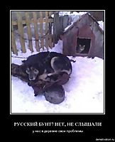 РУССКИЙ БУНТ? НЕТ, НЕ СЛЫШАЛИ у нас в деревне свои проблемы