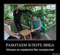 РАБОТАЕМ В ПОТЕ ЛИЦА