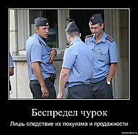 Беспредел чурок Лишь следствие их похуизма и продажности