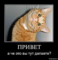 ПРИВЕТ а че это вы тут делаете?