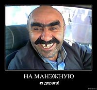 НА МАНЭЖНУЮ нэ дорага!