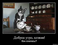 Доброе утро, хозяин! Как спалось?