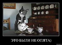 ЭТО БЫЛИ НЕ ОПЯТА) 