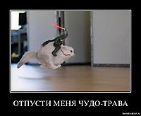 ОТПУСТИ МЕНЯ ЧУДО-ТРАВА 
