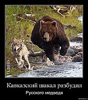 Кавказский шакал разбудил Русского медведя