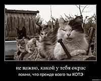 не важно, какой у тебя окрас помни, что прежде всего ты КОТЭ