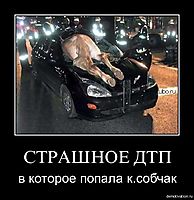 СТРАШНОЕ ДТП в которое попала к.собчак