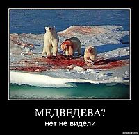 МЕДВЕДЕВА? нет не видели