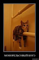 МОНОРЕЛЬСОВЫЙ КОТЭ 