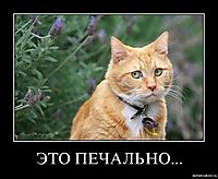 ЭТО ПЕЧАЛЬНО... 