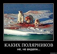 КАКИХ ПОЛЯРНИКОВ не, не видели...