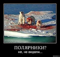 ПОЛЯРНИКИ? не, не видели...
